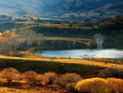 花呗提现遇骗局？这些防骗要点和正规平台你得知道