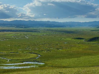 白条套现可行吗？操作风险与法律后果全解析