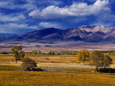 抖音月付新增现金提取功能？使用攻略与利率成本全解析