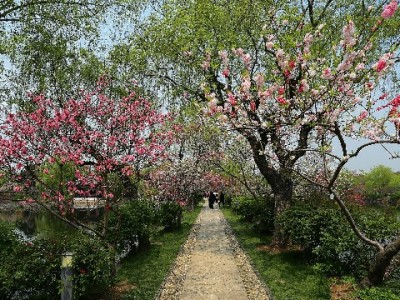 想找套花呗店铺？这些风险和正规渠道你必须知道