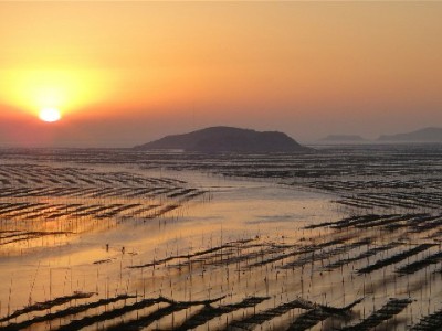 花呗套现风险高！4招合规操作避免账号封禁指南