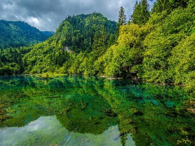 微信花呗管理有新招？出财小神成信用消费贴心管家