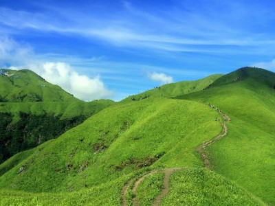 花呗借呗套现暗藏多重风险 这些后果你必须知道
