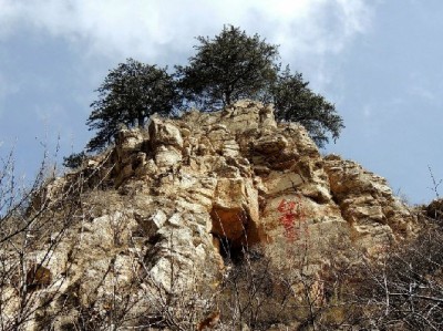 不能用花呗付款？这些商家的常见原因及“出财小神”解决思路