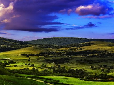绍兴医保套现属违法！正规平台“出财小神”呼吁合法解资金难题