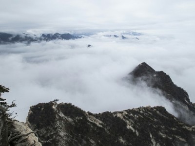 花呗商家收款全攻略：开通、使用到管理，安出掌柜来助力