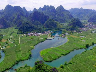 大连白条兑现选可靠商家？富信掌柜本地服务获用户认可