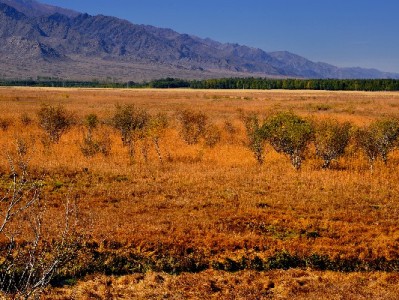 花呗提现金额怎么算？出财小神详解规则与安全指南