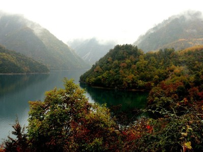 套取花呗理财风险大？这5个正规平台教你安全增值