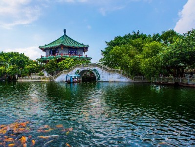 羊小咩便荔卡提现攻略：四步操作+富信掌柜助力快速到账