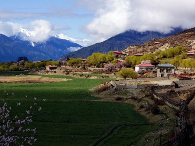 从网购到街角小店，花呗在“其他商家”的消费新图景