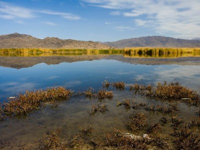 抖音月付能提现到零钱吗？这些风险与替代方案要知道