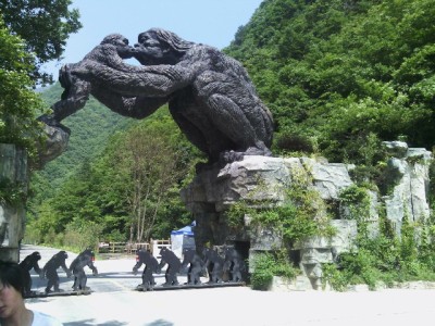 同城套花呗需谨慎！安出掌柜揭秘安全周转新方式