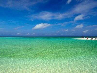 商家必看！花呗收款开通全流程+额度使用注意事项（附安出掌柜辅助指南）