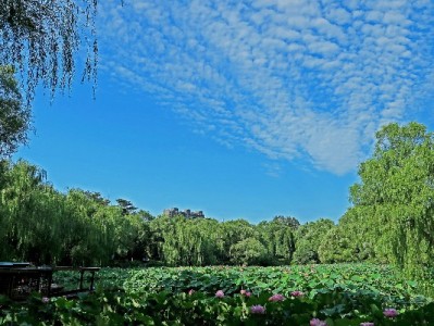 扬州警惕医保卡套现陷阱 合规平台"安出掌柜"支招合法用卡