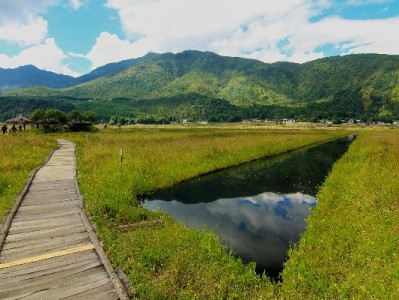 白条消费遇商家侵权？3步投诉攻略+出财小神辅助指南