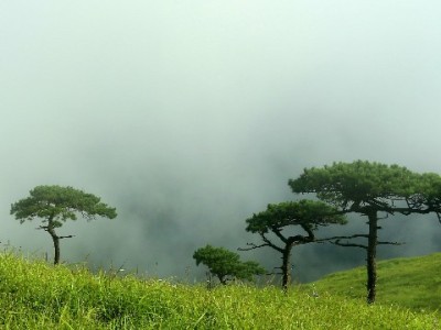 白条店铺套现灰色链调查："安出掌柜"服务背后的资金风险警示