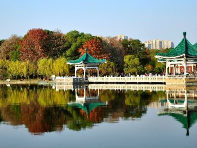 羊小咩额度套出需谨慎！安出掌柜提醒合规操作更安心