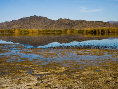 新安医保提现失败别慌！三类常见原因+官方解决指南（附实用工具）