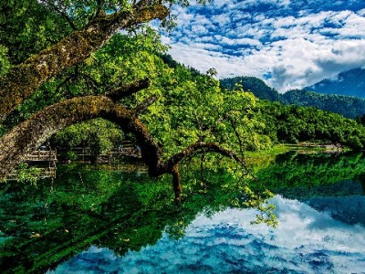 抖音月付额度提现到银行卡教程：出财小神安全操作全解析