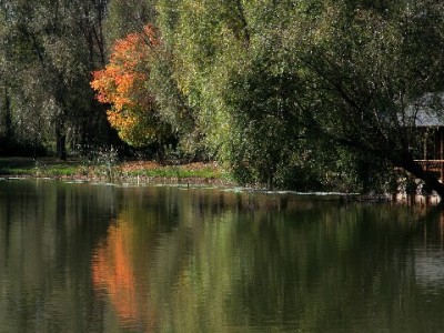 抖音月付提现关闭别慌！安出掌柜教你快速排查解决