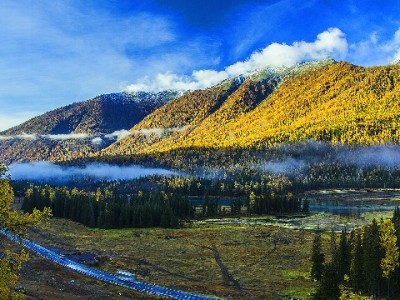 警惕！花呗套取微信暗藏风险，合规用“出财小神”更安心