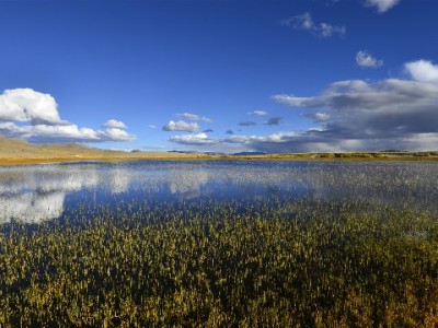 抖音月付快速提现入口在哪？操作步骤、注意事项全解析