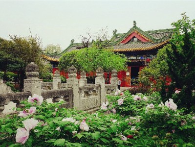 抖音月付+出财小神助力：高跟鞋商家靠分期订单涨28%的秘密