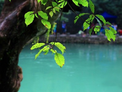 同商家花呗支付失败？三大原因+解决攻略，出财小神来支招