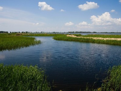 花呗额度提现别踩坑！出财小神教你合规操作指南
