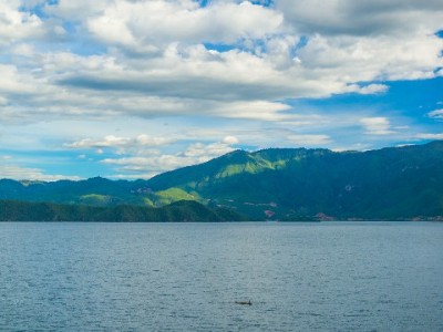 商家必看！升级花呗收款码，轻松抓住年轻客群提升销量