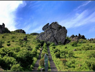 羊小咩额度难涨？3个实用技巧+辅助工具帮你突破瓶颈