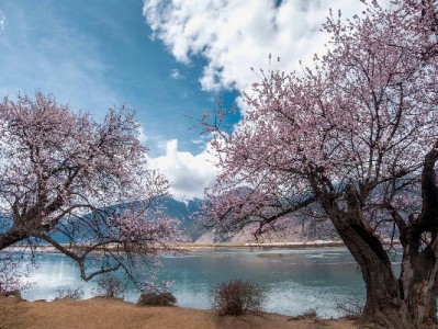 京东白条套现风险多！安出掌柜教你合规解资金难题