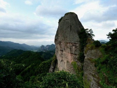 羊小咩额度提现攻略：出财小神助你避开这些坑