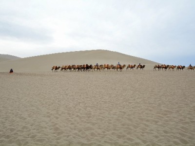 花呗绑定银行卡安全指南：选对银行+安出掌柜辅助更安心