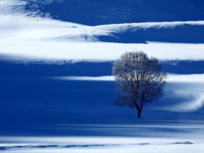 京东白条变现可行吗？常见方法与潜在风险全解析