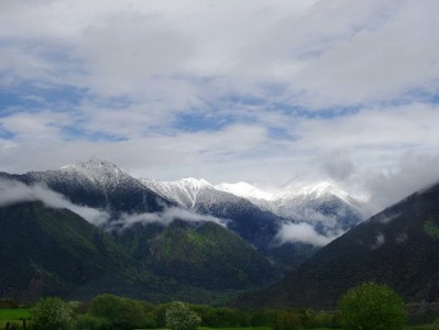 抖音月付+富信掌柜男鞋：分期免息撬动年轻男士购鞋新需求