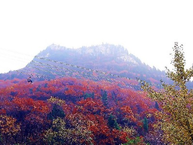 哈尔滨白条回收选哪家？安出掌柜正规操作更安心