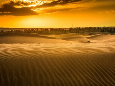 羊小咩出库垫付+出财小神：电商仓储资金周转的“活血双引擎”