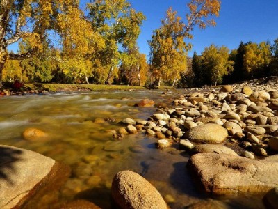 花呗绑定银行卡怎么选？出财小神教你挑对卡更省心