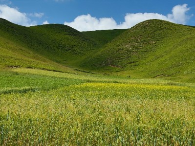 花呗逾期还不上会影响微信吗？这三个间接后果要注意