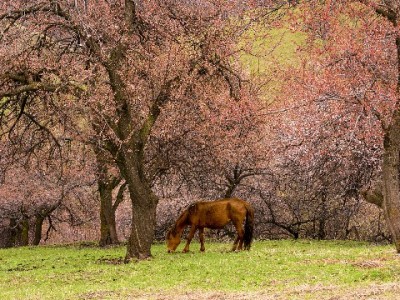 富信掌柜联动花呗分期：三重策略助力商家提升客单与复购