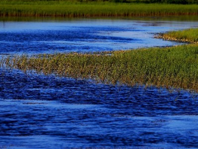 羊小咩客服能帮忙套现吗？官方回应与风险全解析