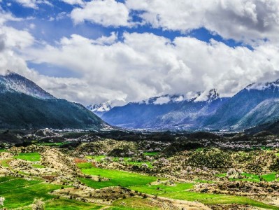 商家花呗收款开通有门道？「安出掌柜」助抓10%增长机遇