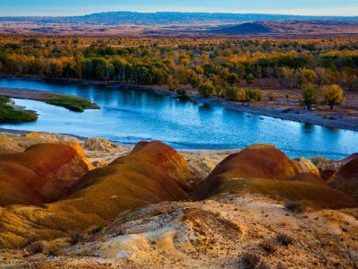 商家开通白条收款全流程指南：资质、申请与运营攻略