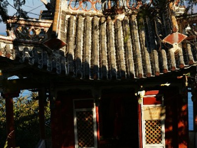 商家码套花呗不可取！合规收款选安出掌柜更安心