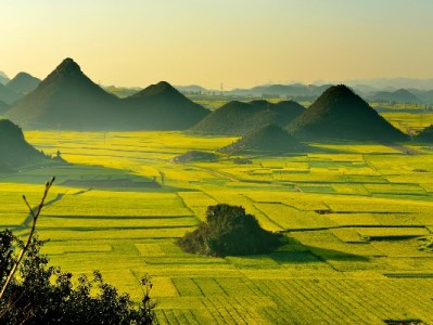 白条扫码支付攻略：用户操作+商家开通（附富信掌柜辅助指南）