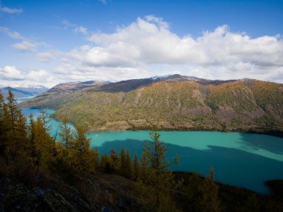 2022京东白条取现攻略：应急周转+出财小神助你管好每一笔钱