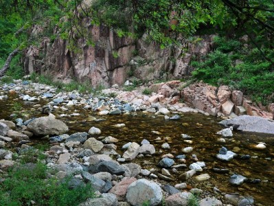 花呗套还风险高？“出财小神”教你合规应对账单压力