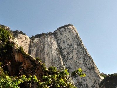 深夜急用钱不用慌！24小时白条服务看"安出掌柜"如何合规操作